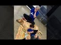 Mom Breaks Down In Tears When Son with Autism Meets Service Dog