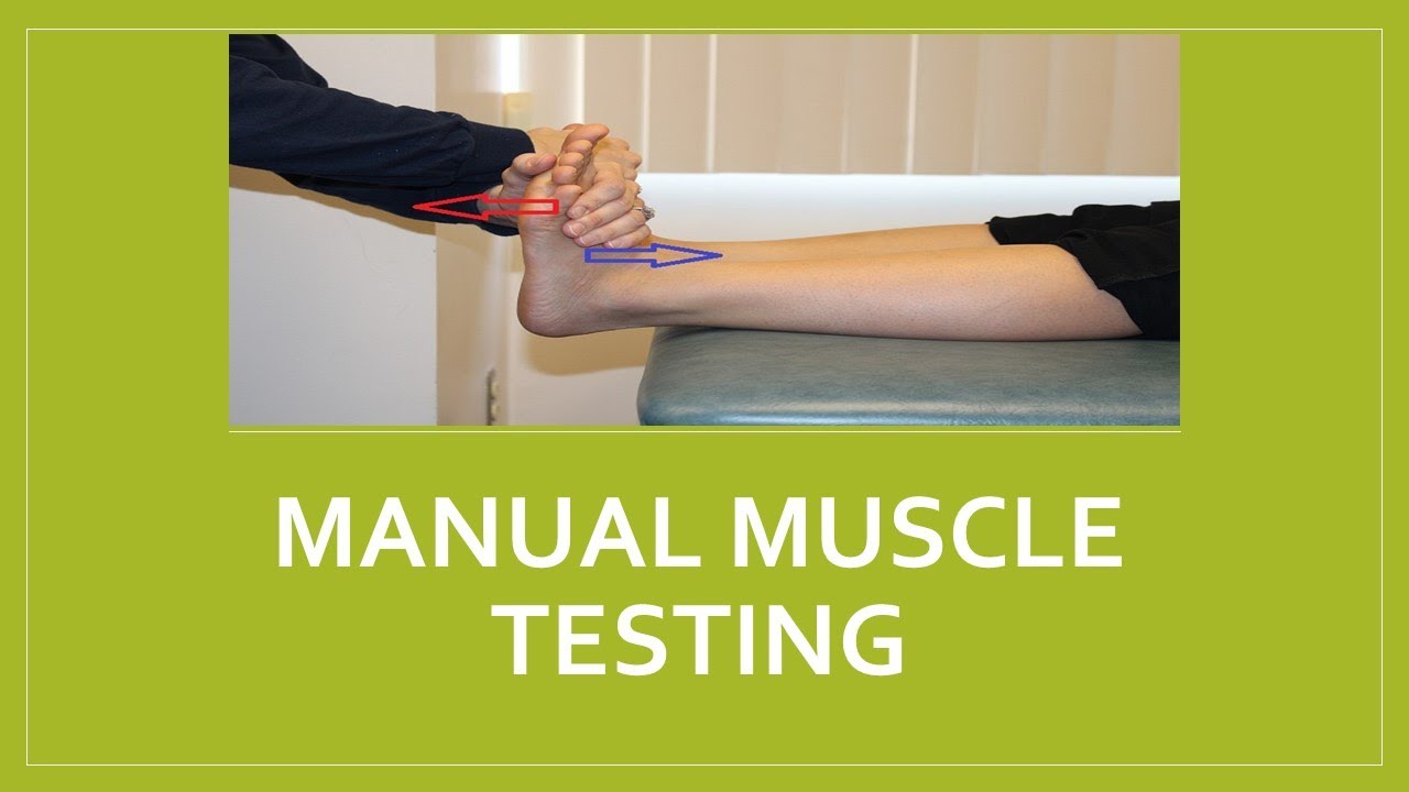 Manual Muscle Testing (MMT) | Pengujian Otot Manual