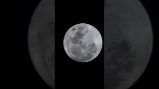 Flower Moon Timelapse ✨ #space #astronomy #moon #phenomenon #cool #science