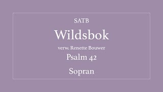 Video thumbnail of "Wildsbok - Sopran"