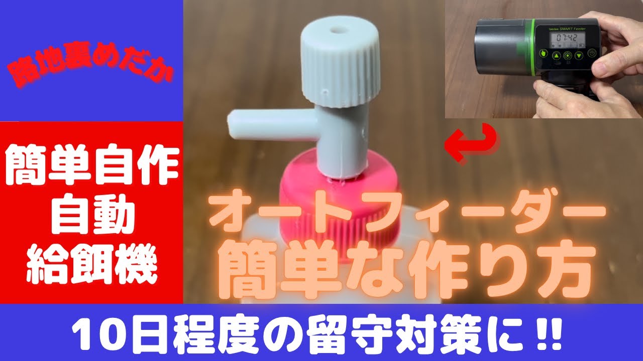 メダカ 飼育】簡単自作‼︎ オートフィーダー(自動給餌機) 留守対策