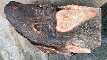 GL gốc càte krôngpa hay còn gọi là gõ đỏ đông đặc Vân cực víp 62kg đục tiện xẻ đều OK