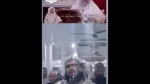 عثمان الخميس ||  يشرح الآية التي قرأها الشيخ الإمام الجزائري وليد مهساس | صاحب فيديو القطة