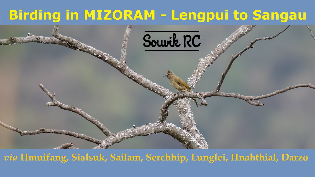 Birding in Mizoram: Lengpui to Sangau via Aizawl Hmuifang Sialsuk Sailam Serchhip Lunglei Darzo
