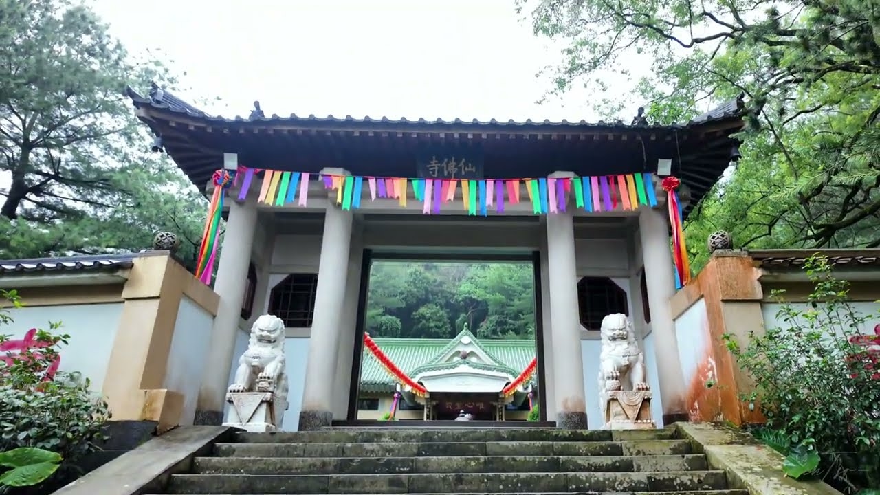 禪機山仙佛寺｜國姓鄉｜南投｜佛道院｜易經大學｜羅漢｜天梯｜燈籠｜宗教信仰｜森林｜寵物｜