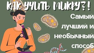 Микробиология | Как я все выучила к экзамену? | Учеба в меде