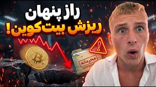 Why did Bitcoin crash Behind the scenes of the collapse