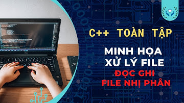Visual C++ -  Minh họa đọc file ghi file nhị phân