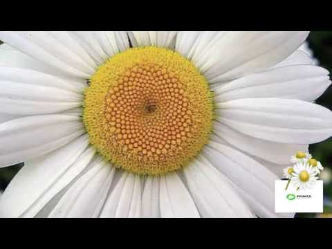 გავერთიანდეთ ტუბერკულოზის დასამარცხებლად!