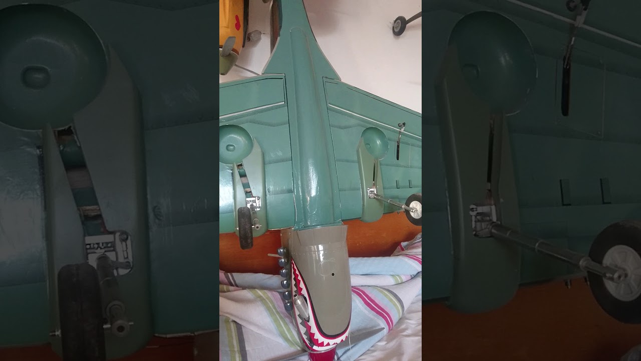 P-40 tomahawk Black horse 1660mm