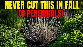 I Killed 3 Before Anyone Told Me - Stop Cutting Back These 8 Perennials in Fall