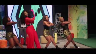 Download Liloca - Nimukumile No Programa Alta Tensão Video MP3 Liloca - Nimukumile No Programa Alta Tensão