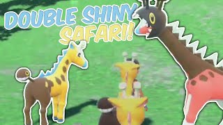 Double Shiny Pokémon in One Group! // Pokémon Scarlet & Violet