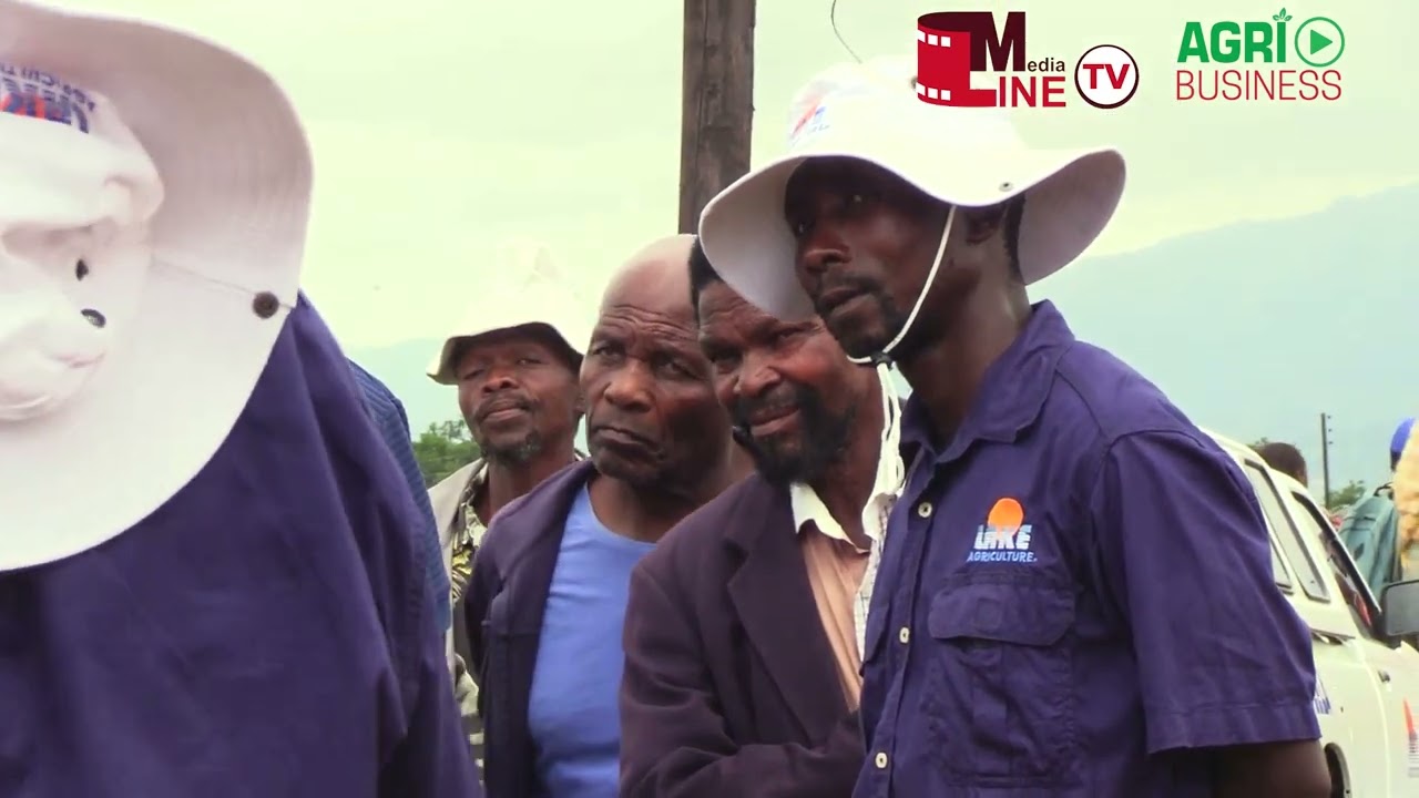 Still from ASILIMENI MASWATI | NEWS: Eswatini Farmers Discover High-Yield Maize Varieties | National Field Day