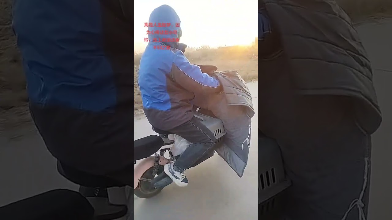 My colleague put a lot of thought into the newly built shelter, and I'm also happy for the cats 