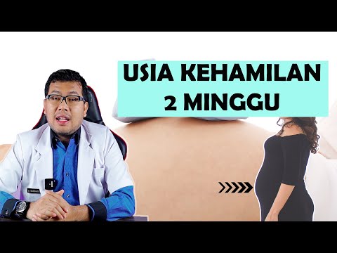 Video: Apa yang berlaku pada kehamilan 2 minggu?