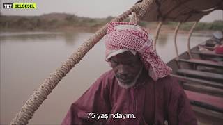 Çocuklarımın Hiçbiri Yanımda Değil - Dünyadan Sözler Lamorde - Ön Seyir