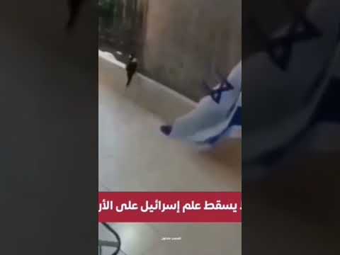 قط فلسطيني ابا عن جد