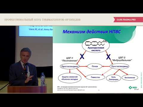 Видео: MiR-144/451 при кроветворении и не только