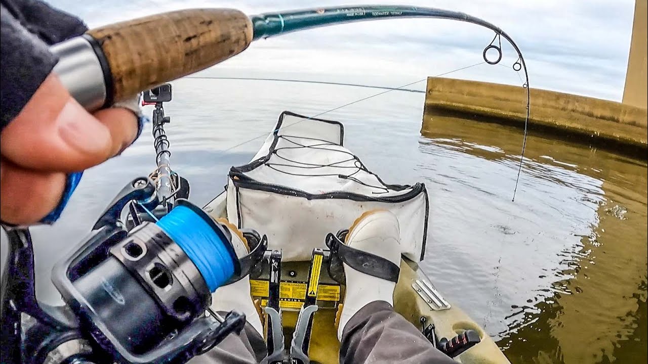 Столько ОГРОМНЫХ ОВЕЧЬИХ АЛОВ на одной свае — рыбалка на мосту в Дестине.