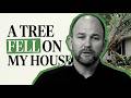 A Tree Fell On My House - What Does Insurance Actually Cover?