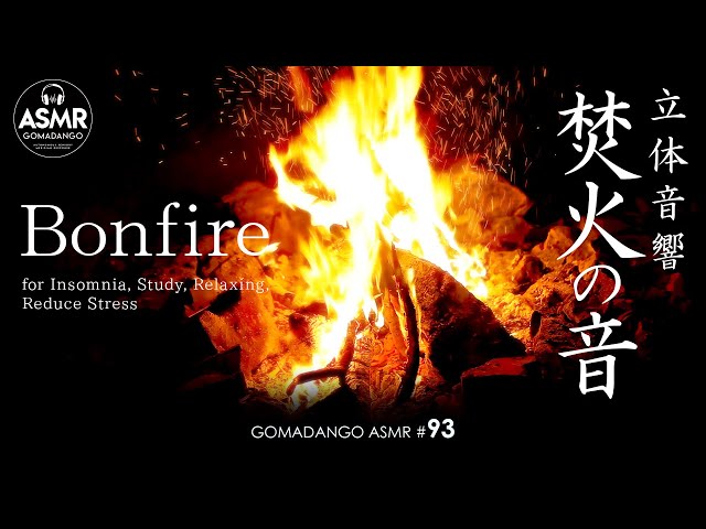 ASMR 立体音響 動く炎の音  ～焚火と虫の音～ Healing sound for Insomnia, Study, Relaxing, Reduce Stress