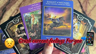 Crush Current feelings/ emotions for you❤️‍🔥 Crush current feelings | Hindi tarot card