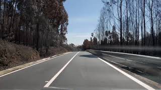 Aftermath of fires in Castelo Branco, Naturtejo, teaser