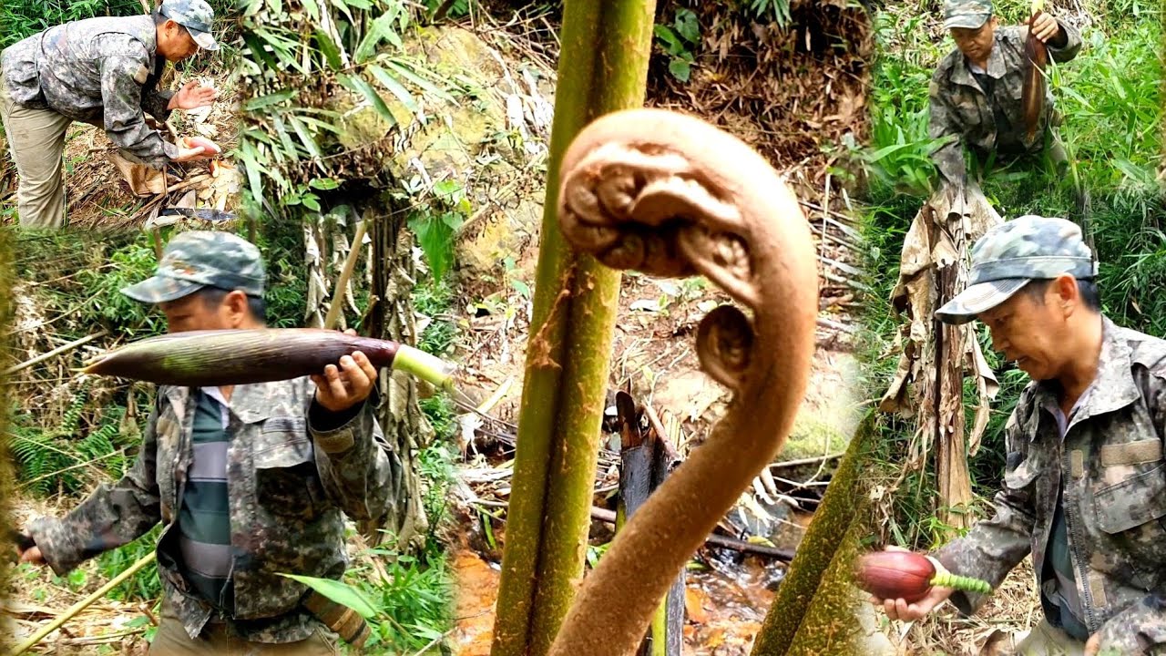 Qhia tshuaj zoo mob noob qes thoob tshaj thiab zoo tej chaw mos o yog sav,doog ....