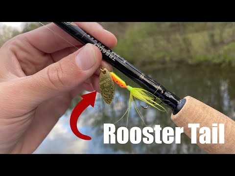 Rooster Tail Pond Fishing MADNESS 