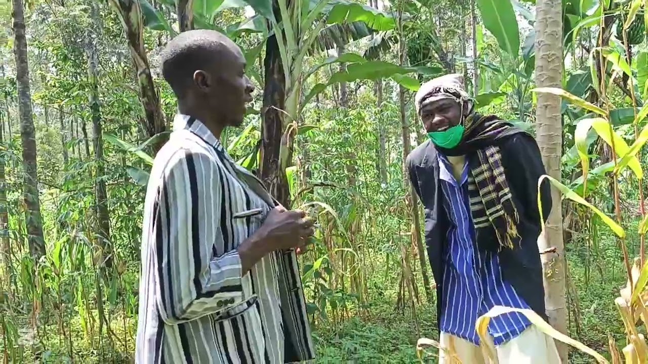 Mtoto msumbufu,, omfyeki na kukhu vaida😂😂😂😂😂