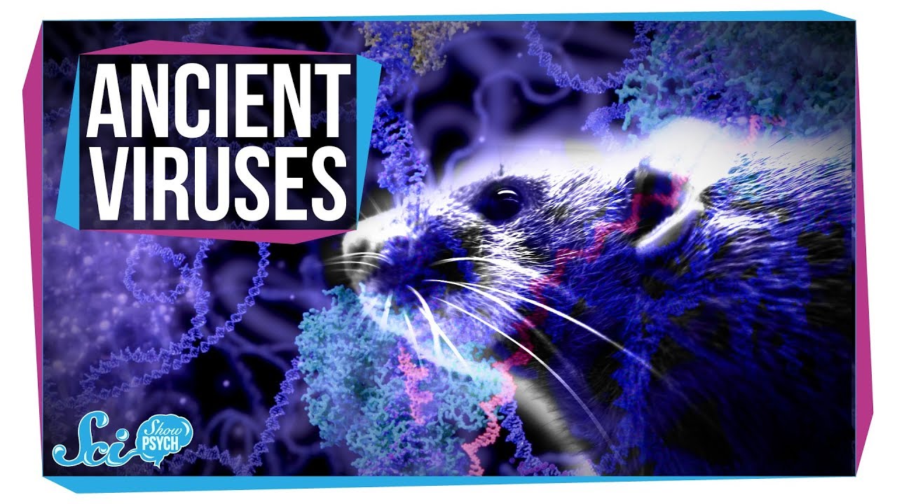How Ancient Viruses Might Have Changed Our Brains