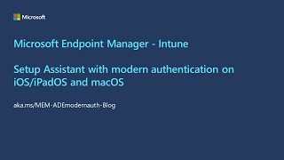 Microsoft Endpoint Manager - Setup Assistant with modern authentication screenshot 5