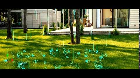 Rain Particle Dynamics