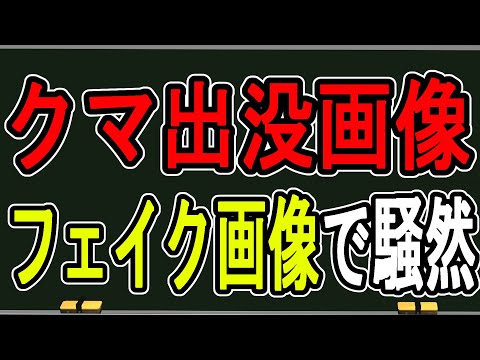 【緊急】冗談のつもり…生成AIフェイク画像で町が大パニックに陥った件について話す【かなえ先生の雑談】 video thumb