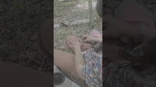 Hand Made Smoking Pipe