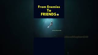 From Enemies To Friends 😱🤯♥️ #Shorts #Youtubeshorts #Catholic #Faith #Faithjourney #Fypシ