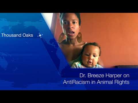 A commitment to AntiRacism in animal rights