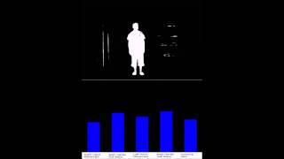 Human Action Recognition using Shape Descriptors