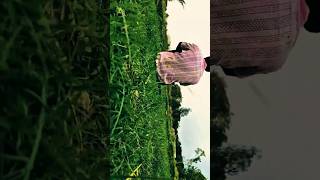 May 3, 2026#chalo le chale tumhe taro ke Sahar me❤️‍🩹👀🌛💫#Instagram #thread#love song #for couple