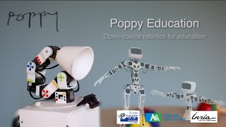 Program the robot · Documentation of the Poppy Platform
