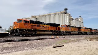 Slow Rolling Hoping For A Signal Change! BNSF Awesome Power Assortment! At The Mill! 4KHDR!