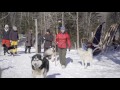 Entre Chien et Loup au Québec