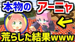 マインクラフト荒らしたったww Youtube マインクラフト荒らしたったww Youtube