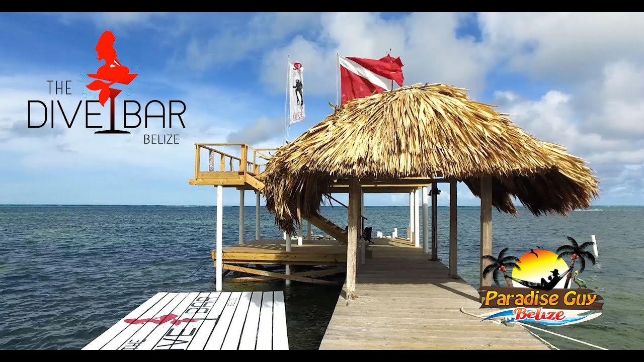 The Dive Bar in Ambergris Caye, Belize YouTube