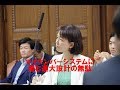 伊藤孝恵　参議院議員　20190522　決算委員会