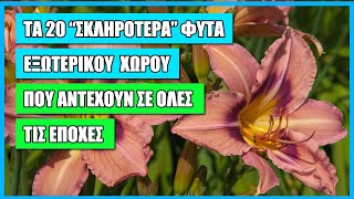 ΤΑ 20 ΚΟΡΥΦΑΙΑ ΑΝΘΕΚΤΙΚΑ ΦΥΤΑ ΕΞΩΤΕΡΙΚΟΥ ΧΩΡΟΥ ΓΙΑ ΟΛΕΣ ΤΙΣ ΕΠΟΧΕΣ | ΦΥΤΑ ΓΙΑ ΤΕΜΠΕΛΗΔΕΣ