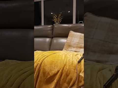 Video: Top Ten Couch Potato Dogs