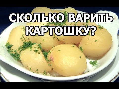Сколько варить картошку. Сколько варится картошка