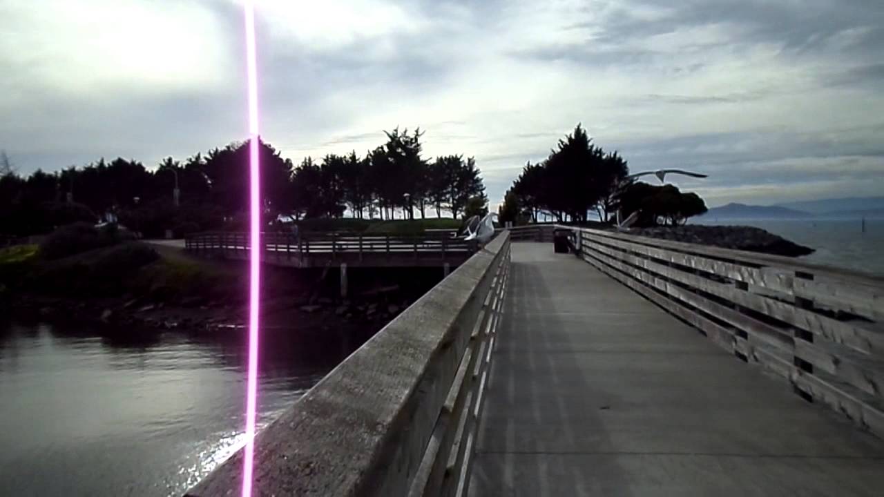 SAM 0427 a day fishing at emeryville ca pier YouTube
